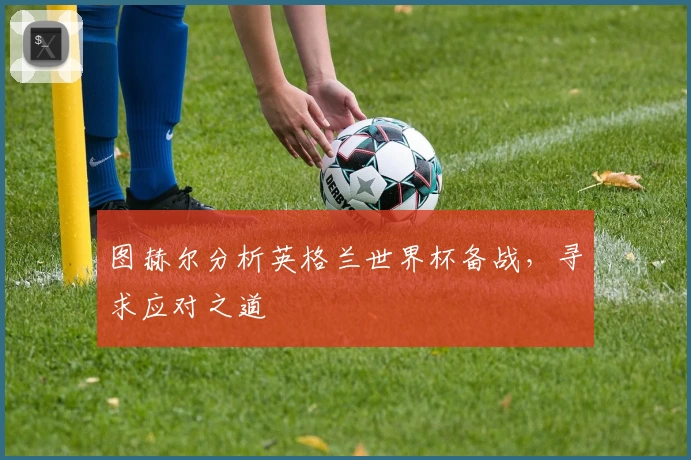 图赫尔分析英格兰世界杯备战，寻求应对之道