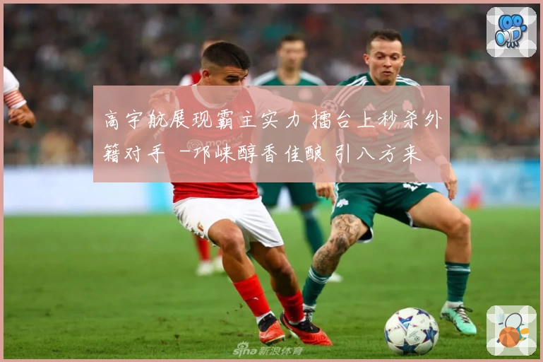 高宇航展现霸主实力 擂台上秒杀外籍对手 -邛崃醇香佳酿 引八方来客共品