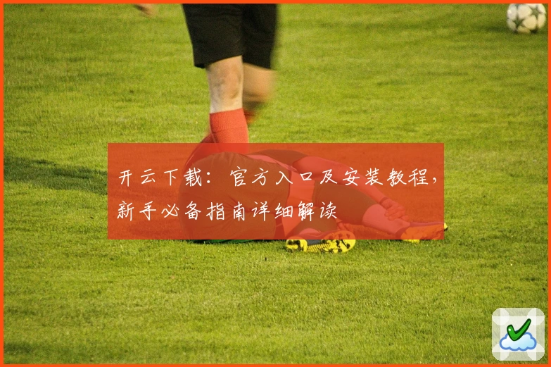 开云下载：官方入口及安装教程，新手必备指南详细解读